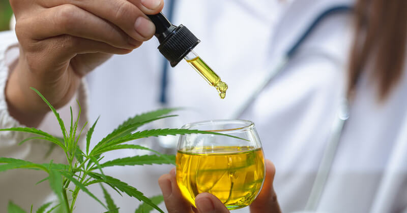 cannabis oil